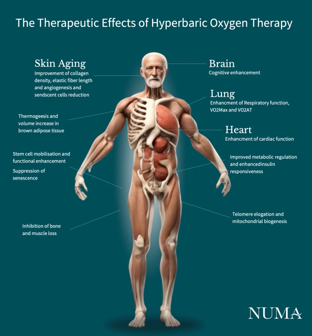 An illustration of the therapeutic effects of hyperbaric oxygen therapy on human body and organs